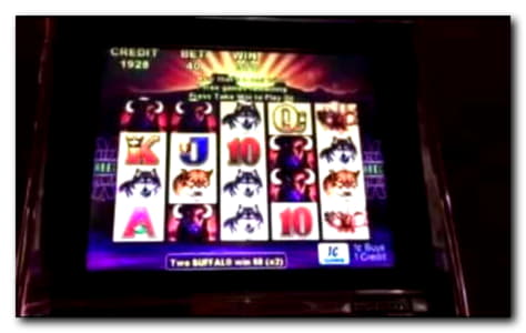 $2355 No Deposit Casino Bonus at Treasure Island Jackpots Casino (Sloto Cash Mirror)