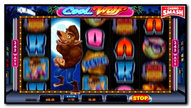 EUR 255 Casino chip at Party Casino