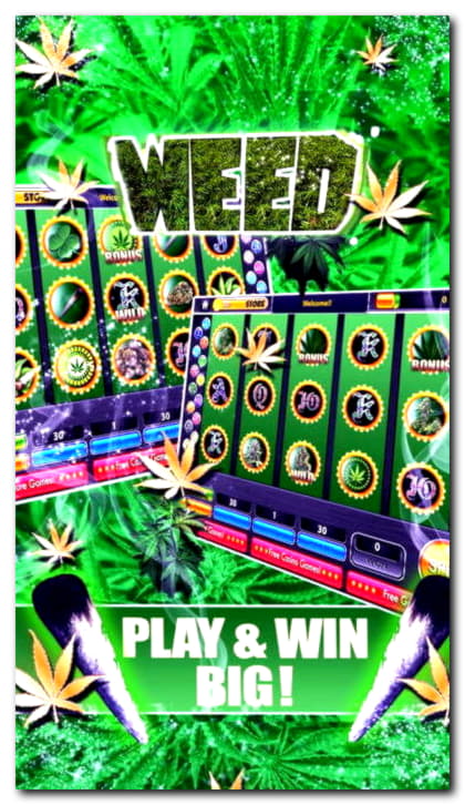80 Free Spins no deposit casino at HighRoll Online Casino