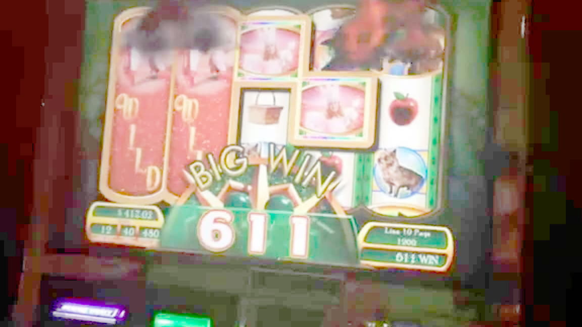 €3985 No Deposit Casino Bonus at YoYo Casino