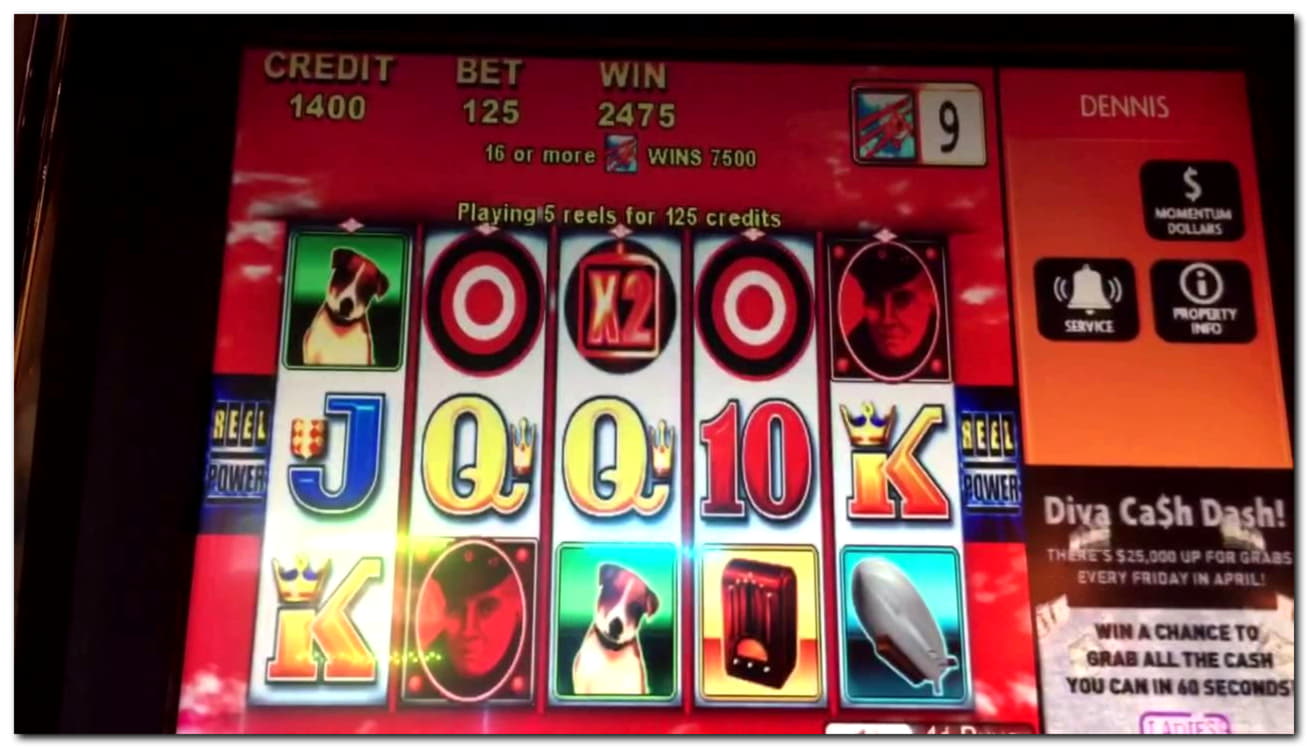 480% No Rules Bonus! at Mrgreen Casino