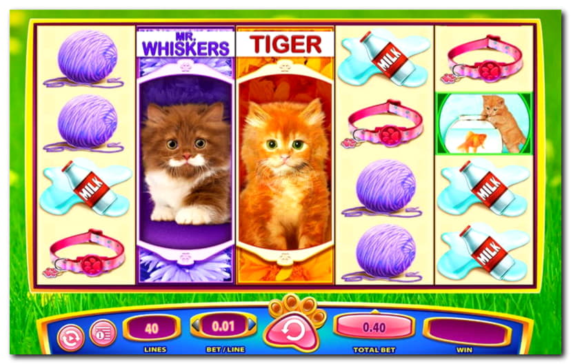 €70 Online Casino Tournament at YoYo Casino