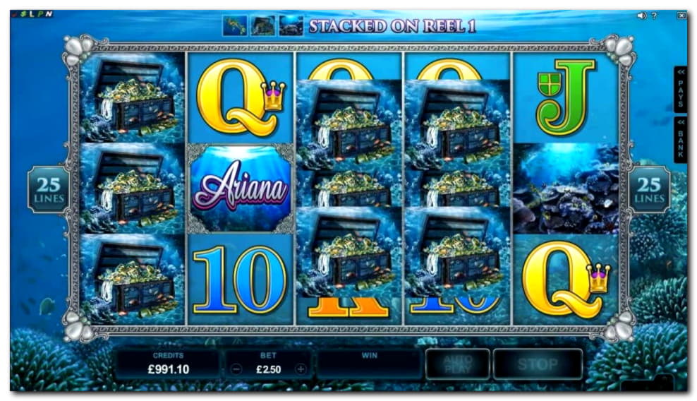 €315 Casino Chip at Malina Casino