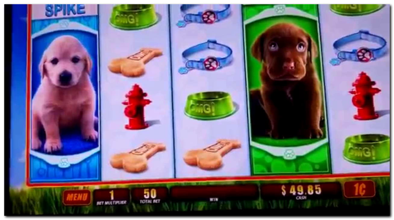 $1570 NO DEPOSIT BONUS at Casino com