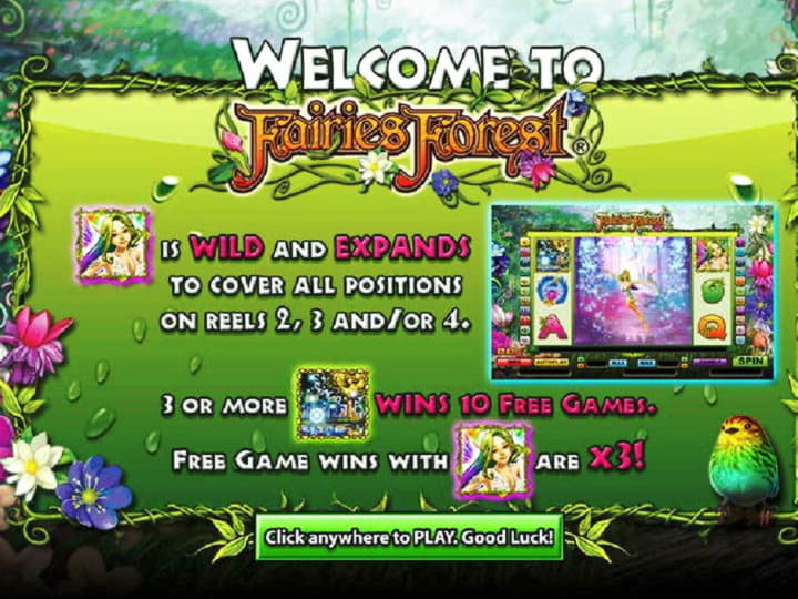 EURO 4080 NO DEPOSIT CASINO BONUS at Spin Palace Casino