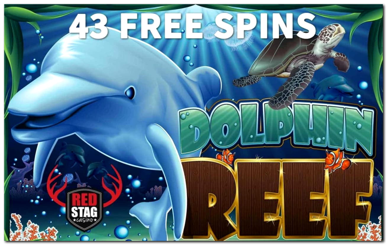 105 Free spins no deposit at Inter Casino