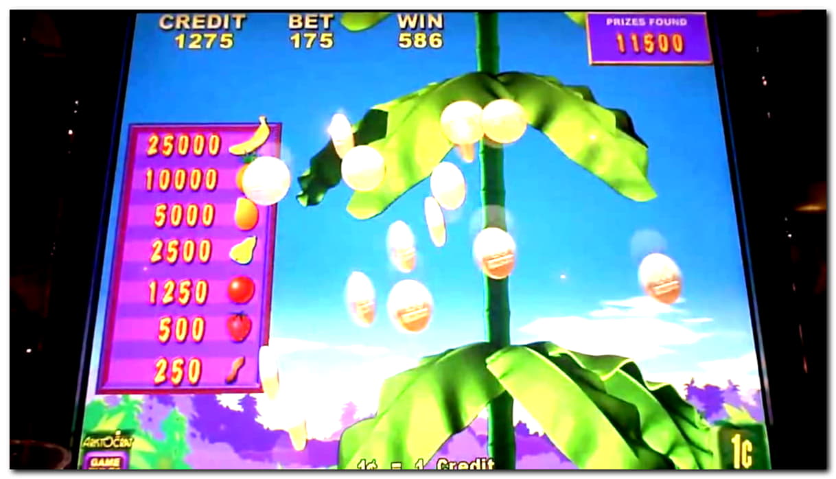﻿$255 casino chip at Casino-X