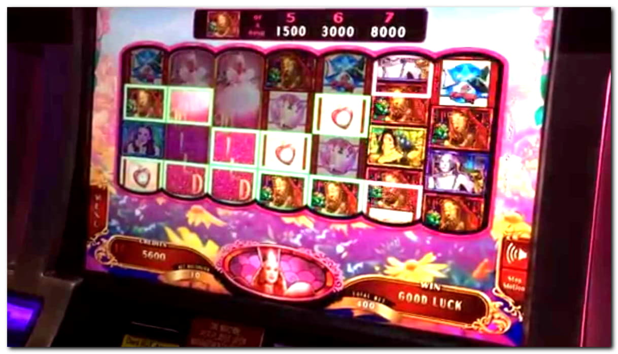 860% Casino Welcome Bonus at Reload Bet Casino