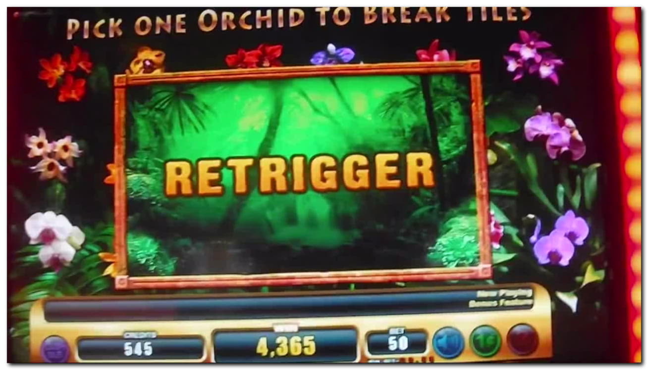 $4495 No deposit at Spin Palace Casino
