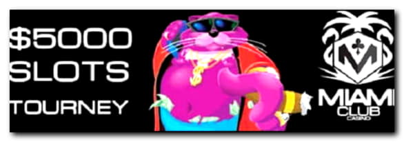 EUR 1865 NO DEPOSIT CASINO BONUS at Spin Palace Casino