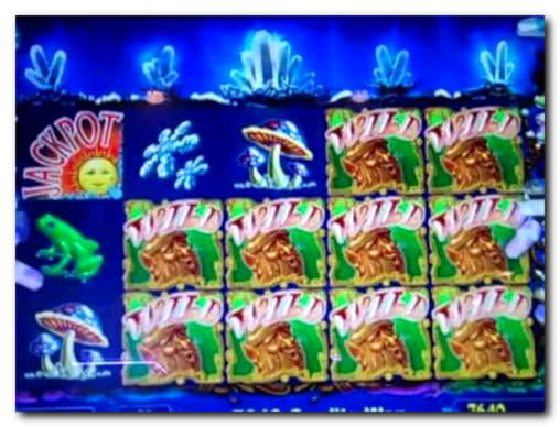 225 Free spins no deposit at Casino-X