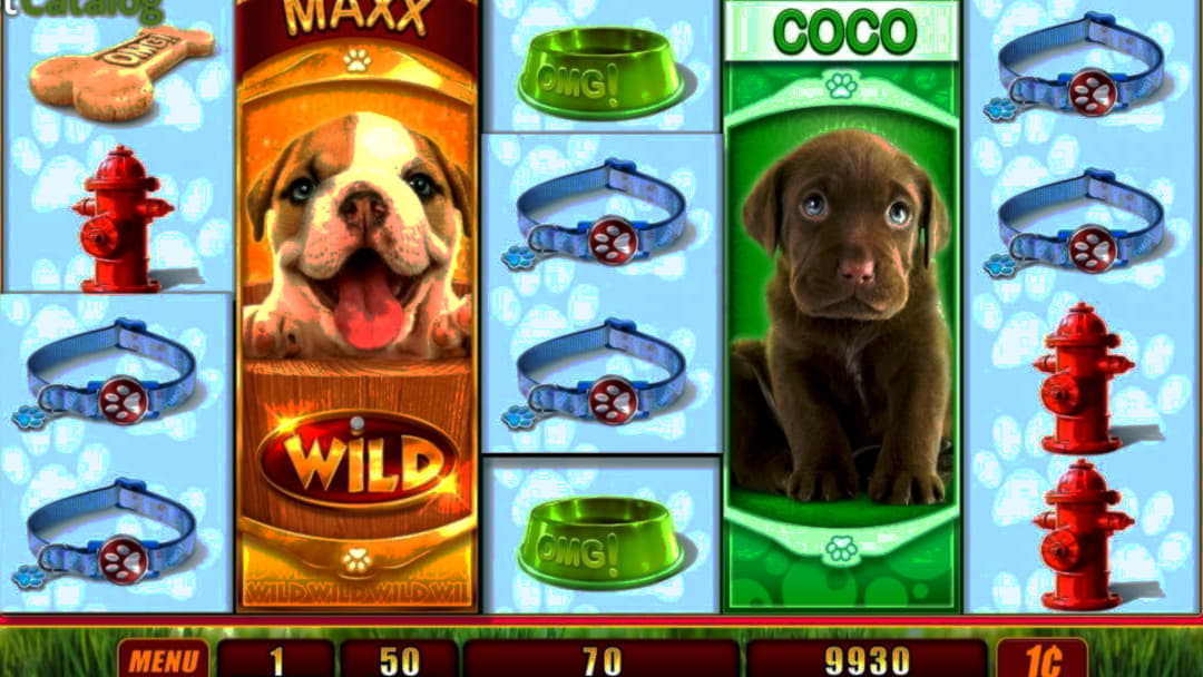$65 Free Cash at Cashmio Casino