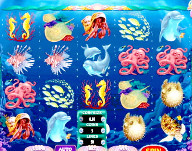 $355 Free Money at CasiPlay Casino