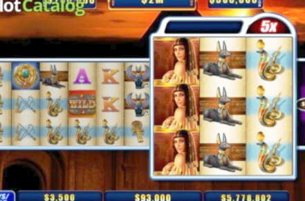 295 FREE Spins at Casino com