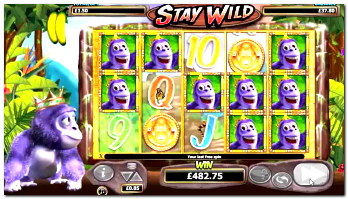 EUR 550 FREE Chip Casino at Buran Casino