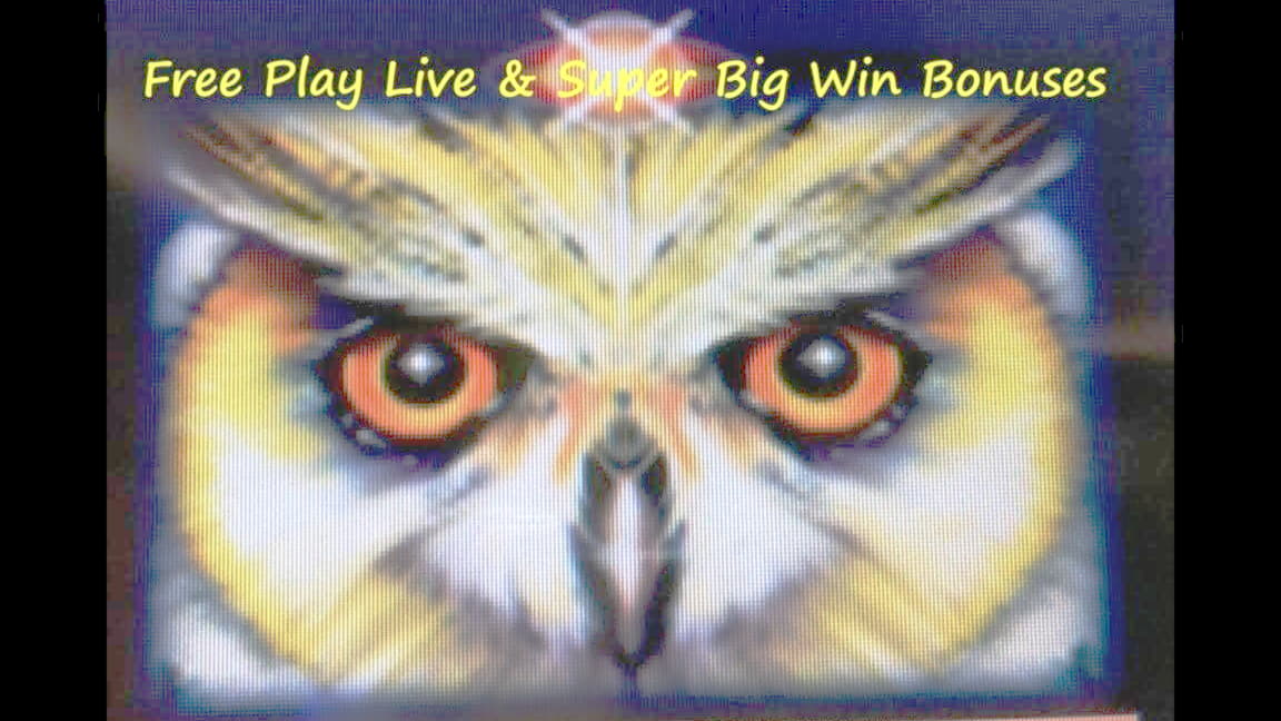 285% Casino match bonus at Treasure Island Jackpots Casino (Sloto Cash Mirror)