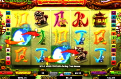 €1111 Mobile freeroll slot tournament at Cadoola Casino