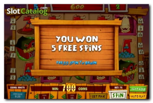 Eur 350 Daily freeroll slot tournament at Cashmio Casino