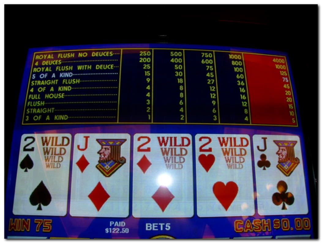 €535 Daily freeroll slot tournament at YoYo Casino