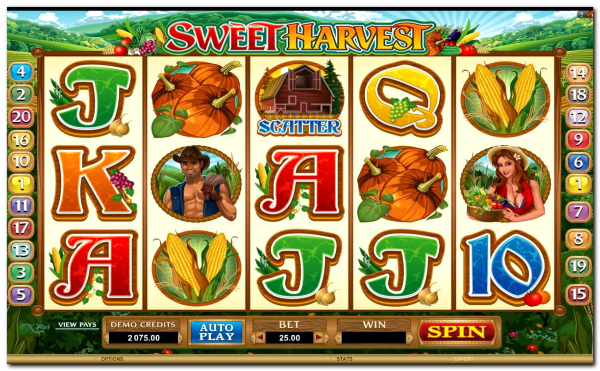 $855 Mobile freeroll slot tournament at Reload Bet Casino