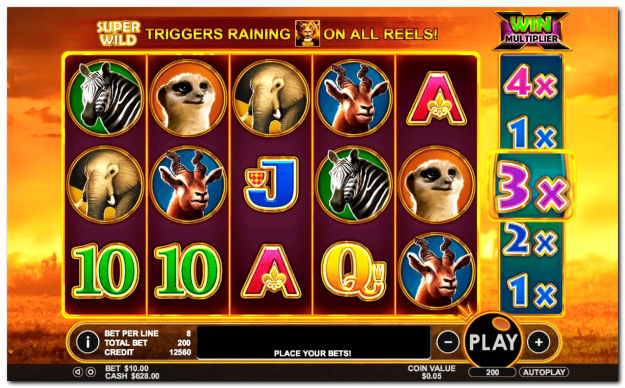 Eur 785 Tournament at Platinum Play Casino
