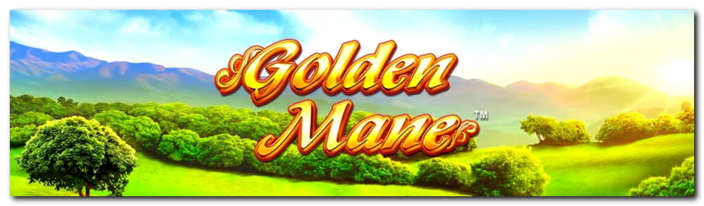 ﻿$415 Daily freeroll slot tournament at Casino com