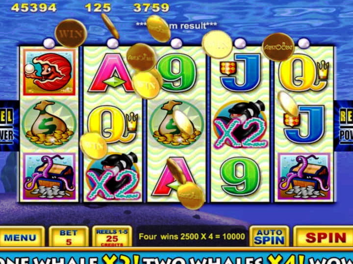 EURO 505 Online Casino Tournament at YoYo Casino