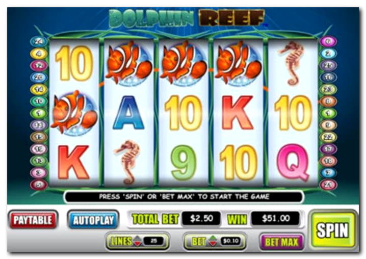 215 free spins at CasiPlay Casino