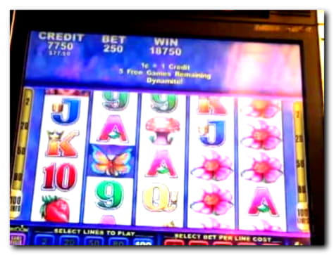 £795 Free Casino Tournament at Cadoola Casino