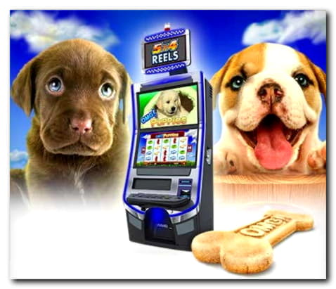 685% Match bonus at Casino-X