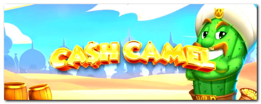 640% Best signup bonus casino at Mrgreen Casino
