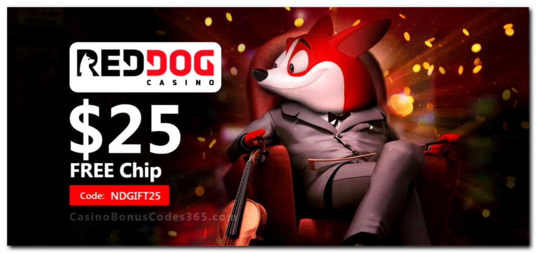 $555 Tournament at Spinit Casino