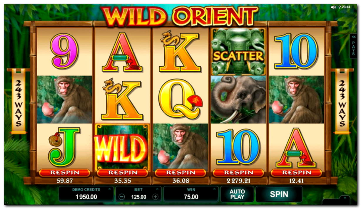 EURO 2620 No deposit bonus code at King Billy Casino