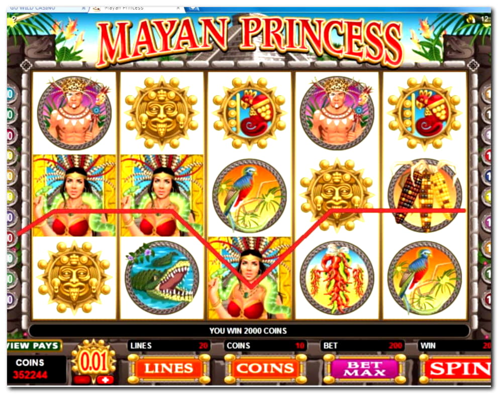 535% Casino Welcome Bonus at CasiPlay Casino