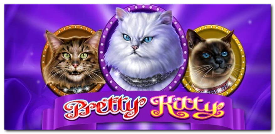 ﻿$50 Daily freeroll slot tournament at bWin Casino