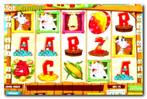€80 Free Cash at Gamebookers Casino