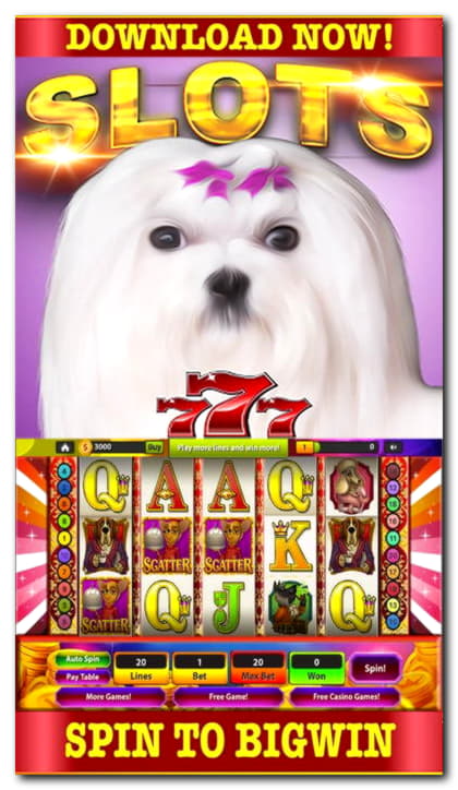 €210 free chip casino at Casino-X