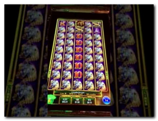 370% First Deposit Bonus at Reload Bet Casino