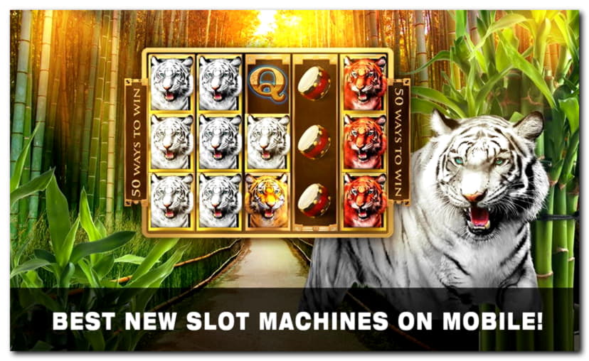 200 free spins at Italy Casino 