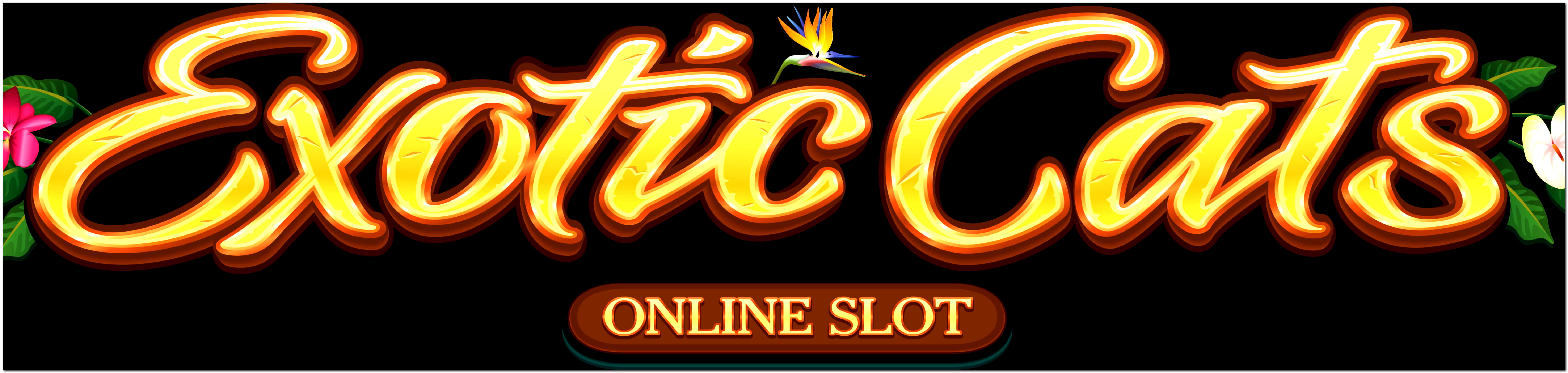 ﻿$10 Tournament at Gamebookers Casino