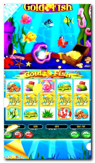 145% First Deposit Bonus at Reload Bet Casino