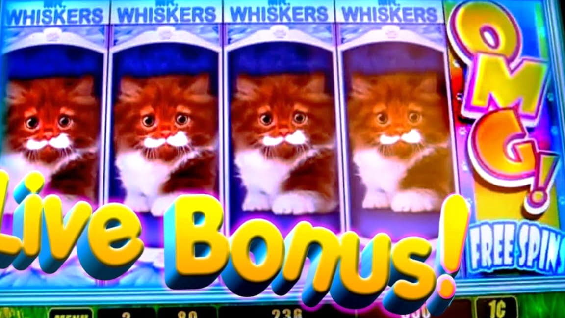 130 FREE Spins at YoYo Casino