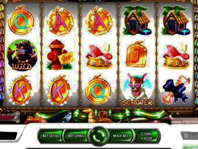 €135 Free Chip at Platinum Play Casino