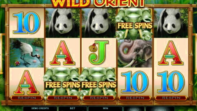 EURO 1340 No Deposit Bonus at River Belle Casino