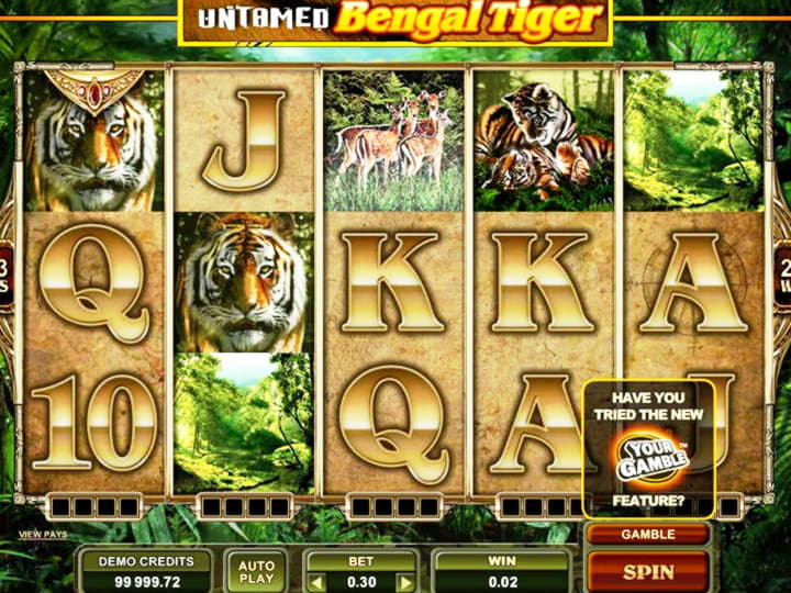 490% Casino match bonus at Treasure Island Jackpots Casino (Sloto Cash Mirror)