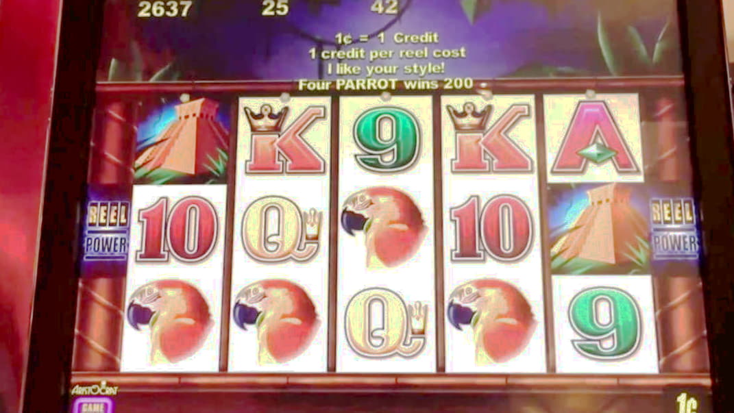 ﻿$1030 No deposit casino bonus at Royal Dubai Casino