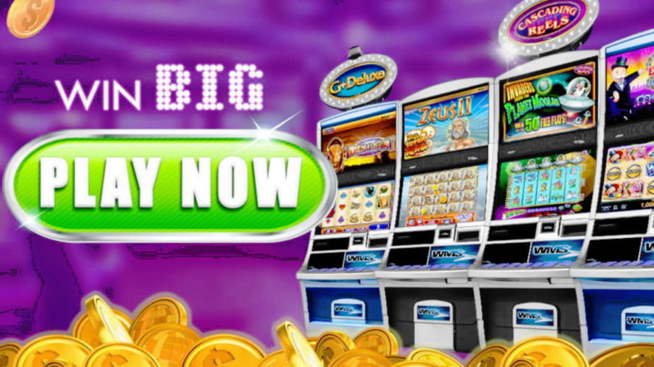 505% Casino Welcome Bonus at Malina Casino