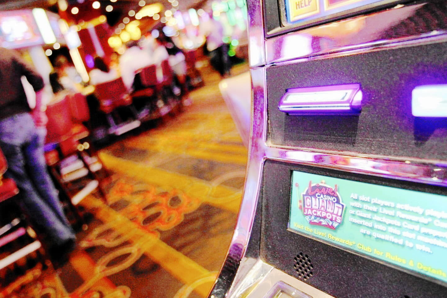 ﻿$855 NO DEPOSIT BONUS at Mrgreen Casino
