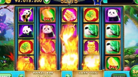 300 Loyal Free Spins! at YoYo Casino