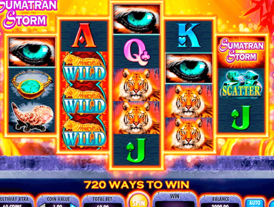 Eur 570 Casino tournaments freeroll at Malina Casino